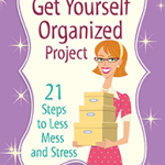 The Get Yourself Organized Project - small